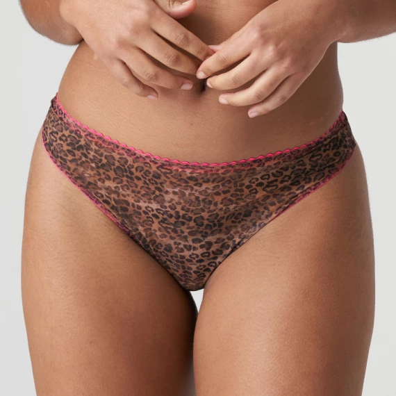 Cafe Plume String – Bild 2