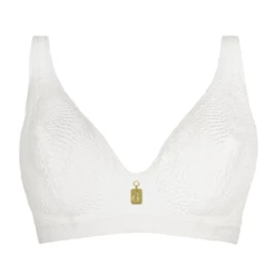 Lizzard Plunge Bikini Oberteil