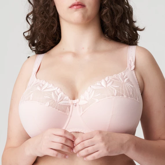 Orlando Full Cup BH – Bild 2