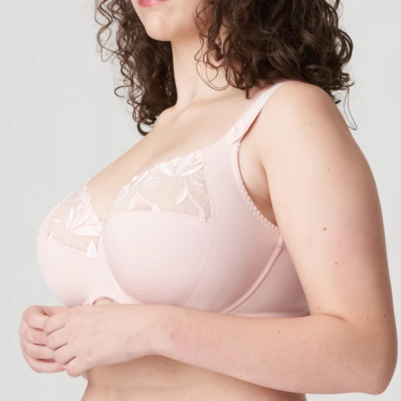 Orlando Full Cup BH – Bild 3